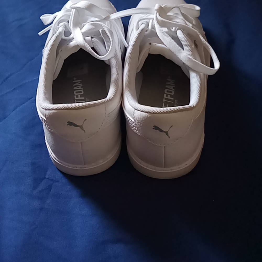 Pumas - Picture 3 of 4